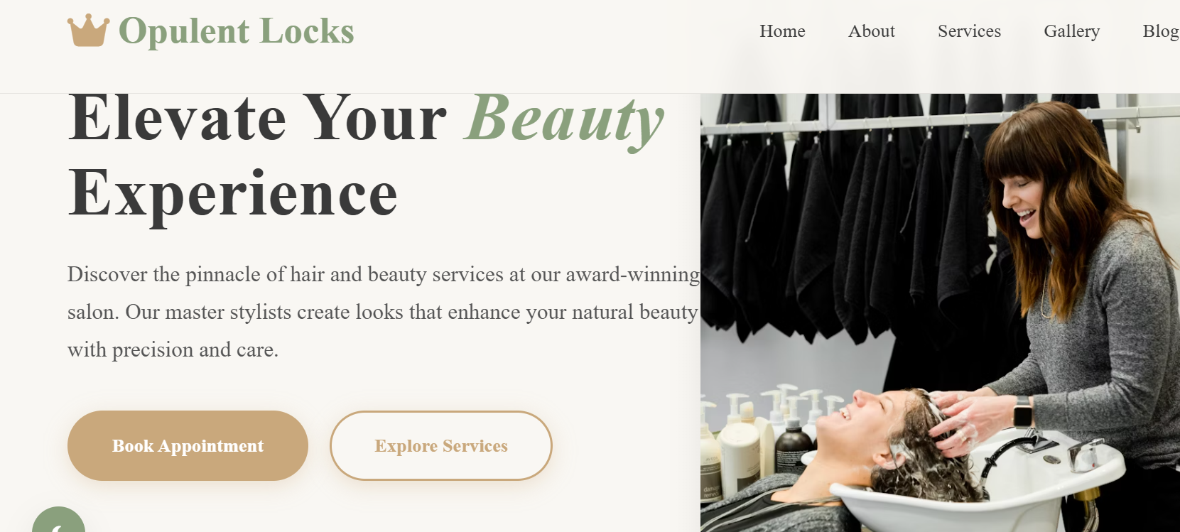 ElevateSalon Website